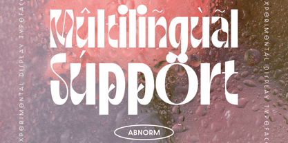 Abnorm Font Poster 4