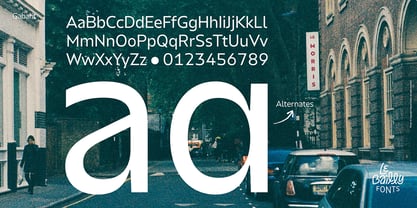 Gabarit Font Poster 5