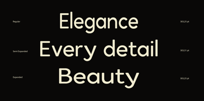 Delvoro Rounded Font Poster 5