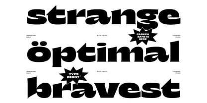 Parken Font Poster 9