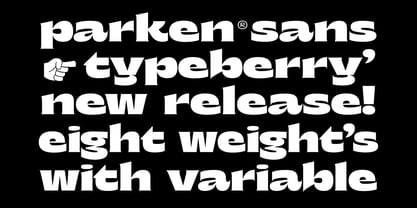 Parken Font Poster 3