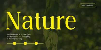 Castoria Font Poster 7
