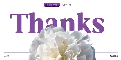 Castoria Font Poster 11