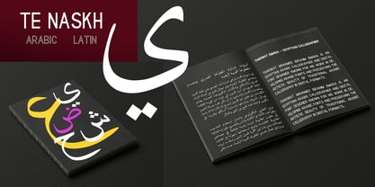 TE Naskh Font Poster 3