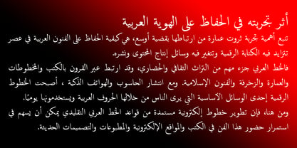 TE Naskh Font Poster 6