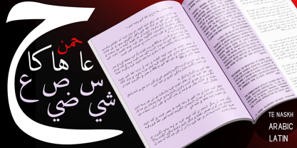 TE Naskh Font Poster 1