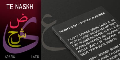 TE Naskh Font Poster 5