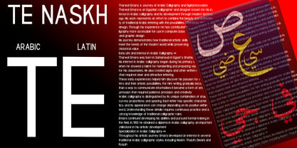 TE Naskh Font Poster 2