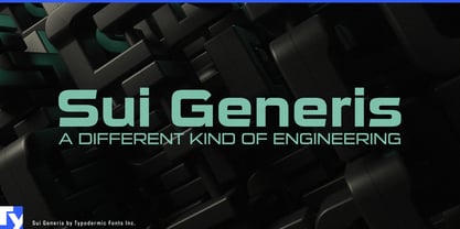 Sui Generis Font Poster 1