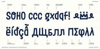 LeOsler Font Poster 14