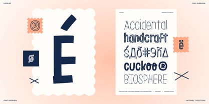 LeOsler Font Poster 13