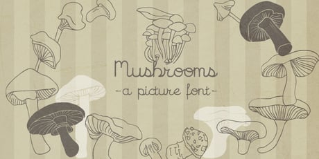 Mushroom Fonts | MyFonts