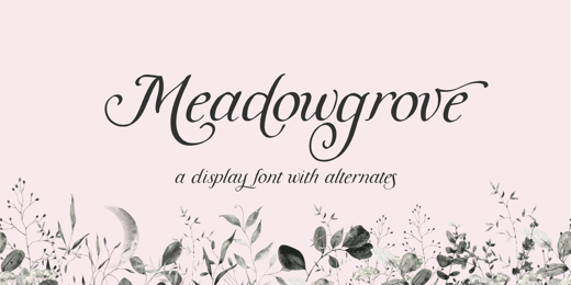 Meadowgrove Newsletter Promo