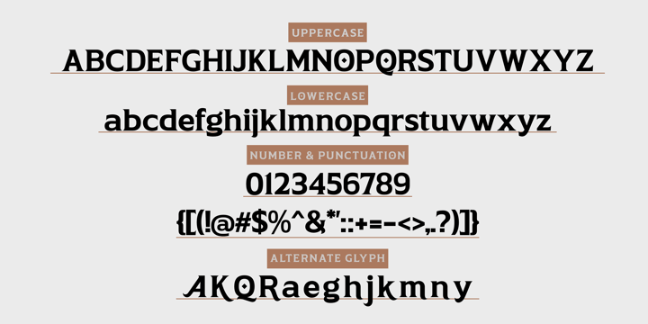 Aliey Font Poster 5