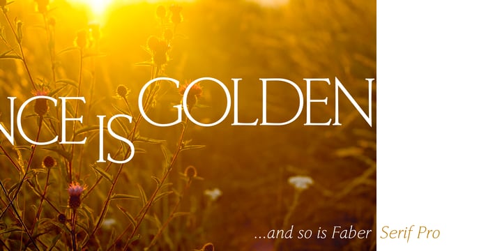 Faber Serif Pro