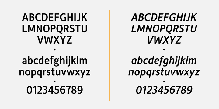 Alber New Font Poster 4