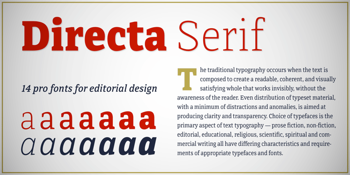 Directa Serif Font Poster 8