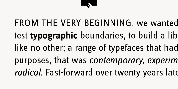 FF Zine® Sans Display