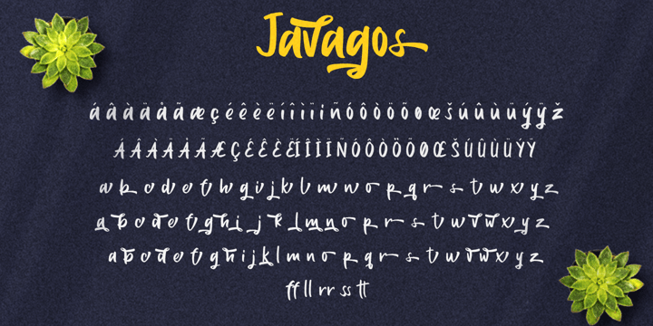Javagos Font Poster 10