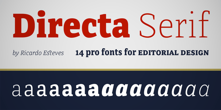 Directa Serif Font Poster 1