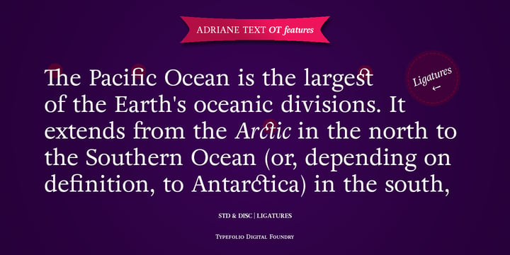 Adriane Text Font Poster 3
