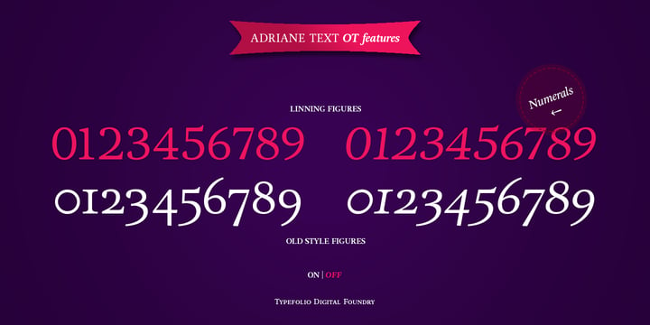Adriane Text Font Poster 5