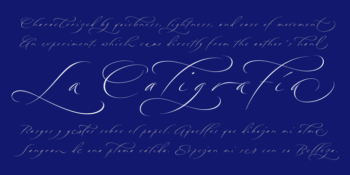 Bird Script Font Poster 11
