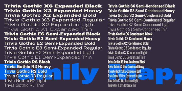 Trivia Gothic Font Poster 14