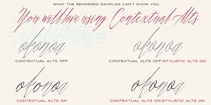 Shameless Font Poster 5