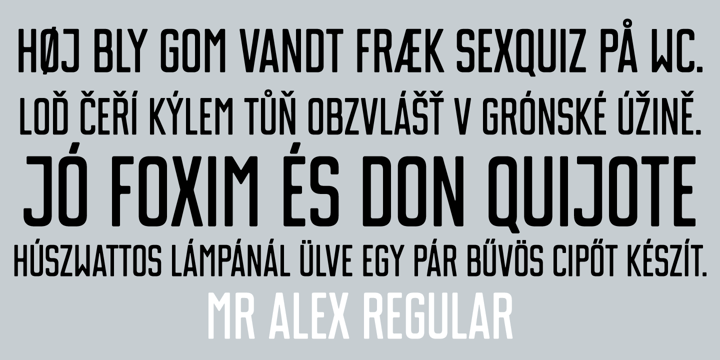 Mr Alex Font Poster 4