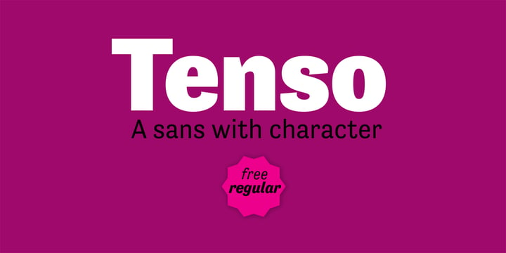 Tenso Font Poster 1