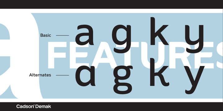 Amino Font | Webfont & Desktop | MyFonts