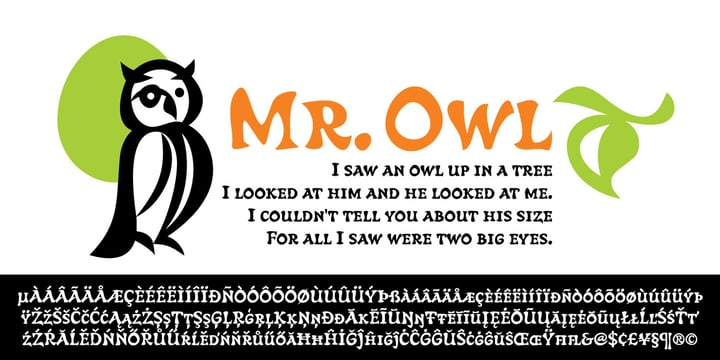 Owl Font Poster 2