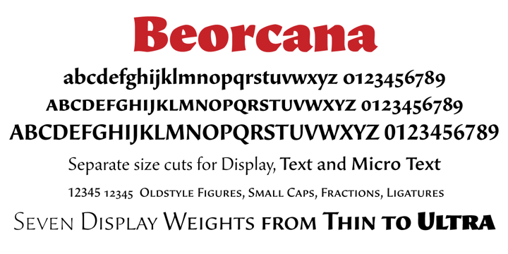 Beorcana Pro Font Poster 5