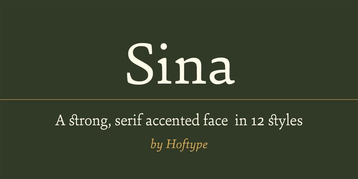 Sina Font Poster 6