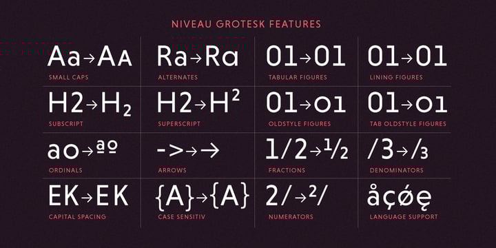 Niveau Grotesk™