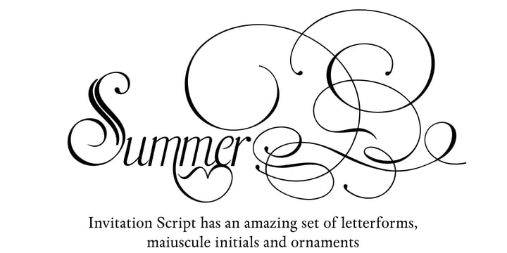 Invitation Script Font Poster 5