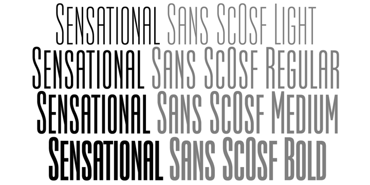 Sensational Sans Font Poster 6