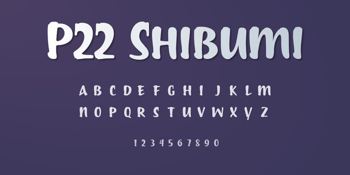 P22 Shibumi Font Poster 2