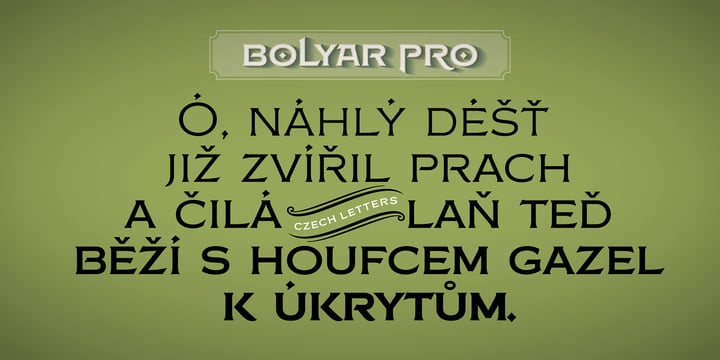 FM Bolyar Pro Font Poster 15
