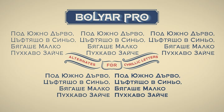 FM Bolyar Pro Font Poster 13