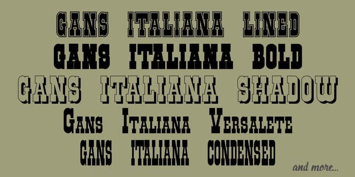 Gans Italiana Font Poster 2