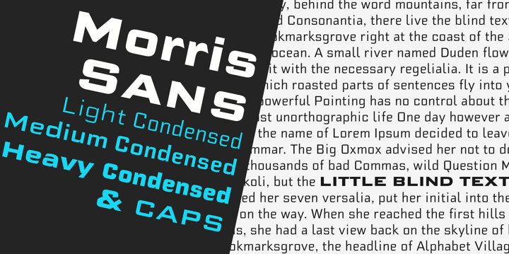 Morris Sans Font Poster 1