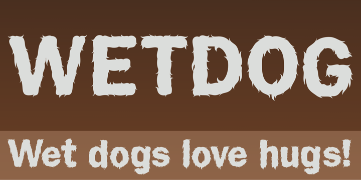 Wet Dog Font Poster 1