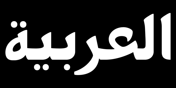 PF Nuyork Arabic Font Poster 1