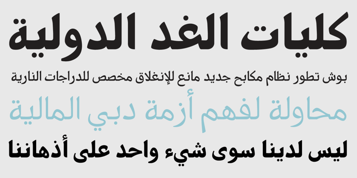 PF Nuyork Arabic Font Poster 4