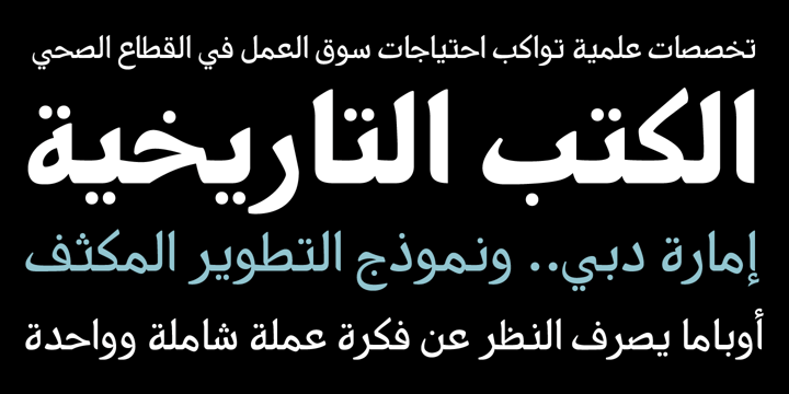PF Nuyork Arabic Font Poster 5
