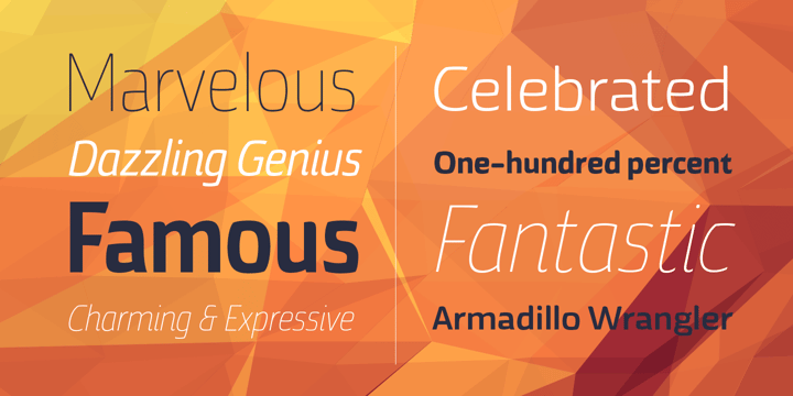 Torcao Font Webfont Desktop MyFonts