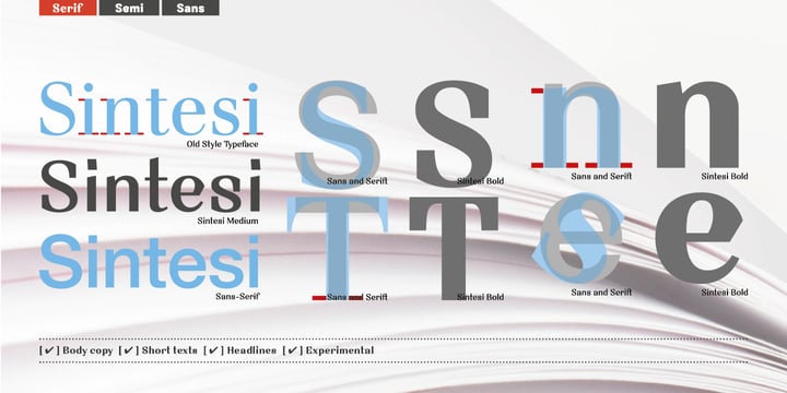 Sintesi Serif Font Poster 2