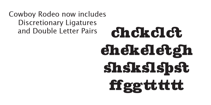 Cowboy Rodeo Font | Webfont & Desktop | MyFonts